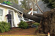 5 Tips to Prevent Roof Damage by Trees - Signature Exteriors
