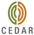 Cedar Management Consulting- Global management consulting firm