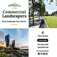 Commercial Landscapers in NJ