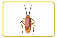 Reliable Pest Control Technicians/Exterminators. Serving Edmonton, Sherwood Park and St. Albert.