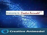 Creative Animodel An Inroduction To A Biomedical Research Organization