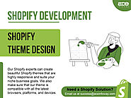 Shopify Theme Design And Development