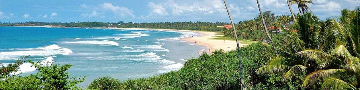 Listly water sports to enjoy in bentota exhilaration and thrills on the water headline