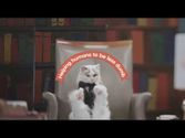 CatAcademy-Learn languages. From cats.