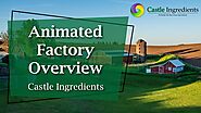 Castle Ingredients | Animated Factory Overview