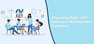 How To Choose The Right .NET Software Development Company?