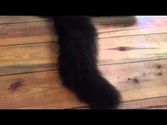 7 auf einen Streich: Katzenmusik auf Youtube, Trick 7: Der Rutentakt