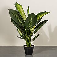 Buy Artificial Plants Online