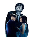 THE THEORY OF EVERYTHING | OFFICIAL MOVIE SITE | IN CINEMAS NEW YEAR'S DAY