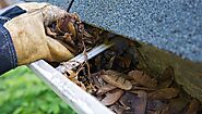 Issues Caused by Not Cleaning Your Gutters
