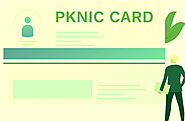 How can I buy domain from PKNIC Card? - Handy Guideline