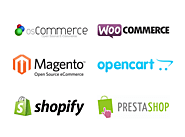 Odoo e-Commerce Website Development