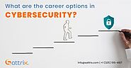 What are the career options in cybersecurity? - Sattrix Information Security