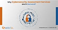 Why Cybersecurity Assessment Services are in Demand?