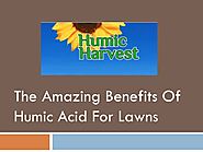 PPT - The Amazing Benefits Of Humic Acid For Lawns PowerPoint Presentation - ID:10478884