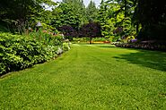 Website at https://humicharvestusa.blogspot.com/2021/04/how-to-use-humic-acid-for-lawns.html