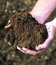When & How to Use Humic Acid?