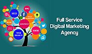 How to Choose the Right Digital Marketing Agency?