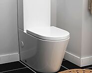 Questions Answered About Short Projection Toilet | Royalbathrooms