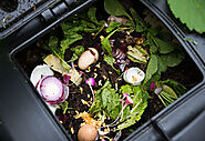 How to Make Compost at Home | Planet Natural