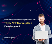 Invest in Digital-token exchange business with Tron NFT marketplace development — Brugu Software Solutions - Blog