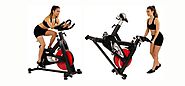 Sunny Health & Fitness Evolution Pro Indoor Cycling Bike Review
