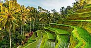 Four Sight You Should Not Fail to visit while in Bali.