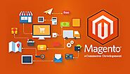 Website at https://www.businessdesignz.com/magento/