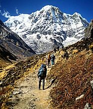 Mardi Himal Trekking Itinerary