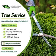 Tree Service Wayne NJ