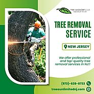 Tree Removal Service NJ
