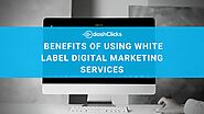 11 Undeniable Benefits of Using White Label Services