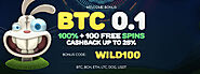 Wild Tornado Casino: 100% Bitcoin Bonus + 100 Free Spins! : New Bitcoin Casinos – btc & Crypto Casino Bonuses