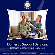 Simplifying Life for Busy Families with Ailing Elderly Members