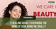 5 Healing Herbs to Rebound the Signs of Skin Aging Naturally