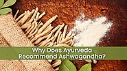 Why Does Ayurveda Recommend Ashwagandha? – Vitro Naturals