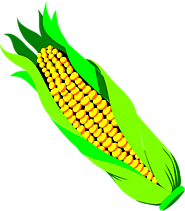 Biofortification Market to be Worth US$153.527 million by 2024