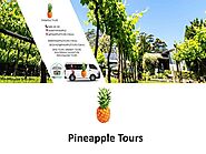 Pineapple Tours - Gold Coast Food and Wine Tasting Tours
