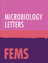 new role of Deinococcus radiodurans RecD in antioxidant pathway | FEMS Microbiology Letters | Oxford Academic