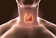 Things You Didn’t Know Your Thyroid Is Responsible For