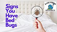 4 Signs You Have Bed Bugs - Early Bird Pest Control