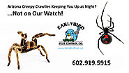 Arizona Creepy Crawlies Keeping You Up at Night?! Not on OUR WATCH!