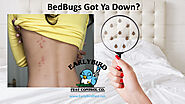 Arizona Bedbugs Infestation Pest Control Exterminator