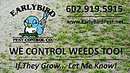 Arizona Weed Control Service - Early Bird Pest Control