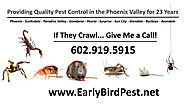 El Mirage Pest Control and Pest Exterminator Services Serving the El Mirage, Arizona Community For More Than 23 Years!