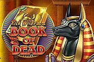 Play Book of Dead online for free - feelcasinos.com