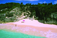 Pink Sand Beach, Bahamas