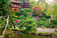 Japanese Tea Garden, San Francisco