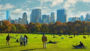 Central Park, NYC