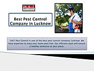 Termite Control Service in Lucknow
